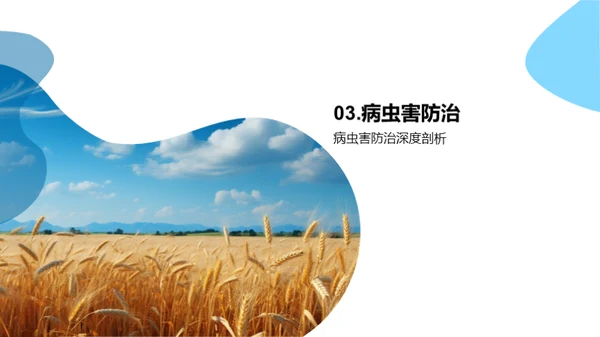 农业产量季度报告