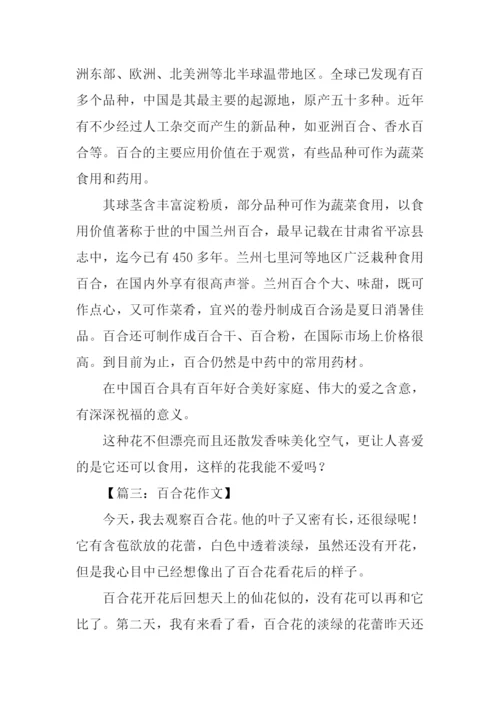 百合花作文400字.docx