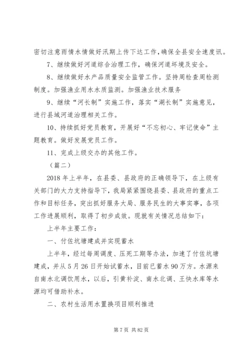 水务局XX年上半年工作总结和下半年工作安排（共十篇）_1.docx