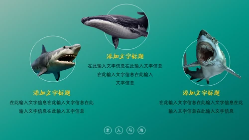 绿色海洋生物海洋资源通用PPT模板