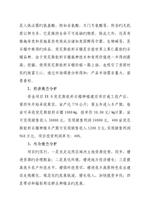 火龙果实施专题方案.docx