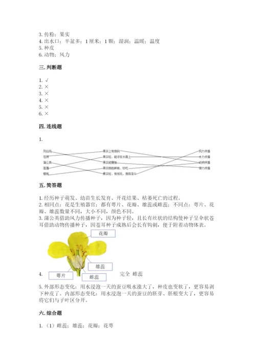科学四年级下册第一单元《植物的生长变化》测试卷带答案（研优卷）.docx