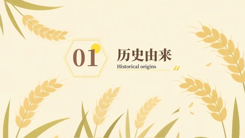 黄色芒种节气介绍通用PPT模板