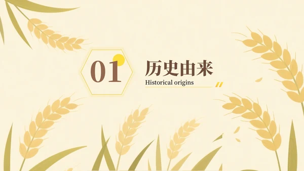 黄色芒种节气介绍通用PPT模板