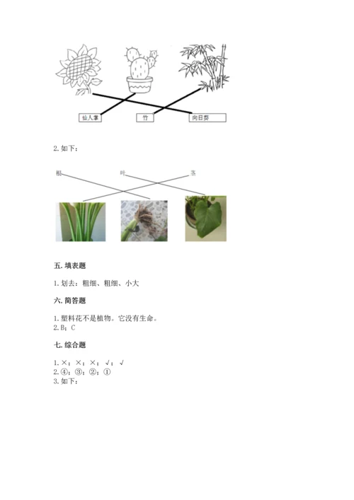 教科版科学一年级上册第一单元《植物》测试卷（精选题）.docx