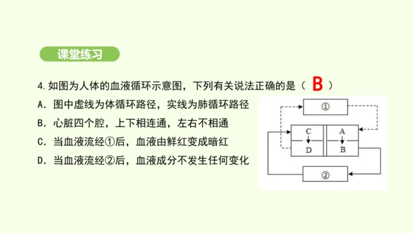 第四单元-第四章-第三节 输送血液的泵——心脏（第2课时）课件-2024-2025学年七年级生物下学