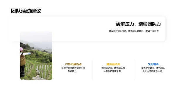 团队效能全面分析