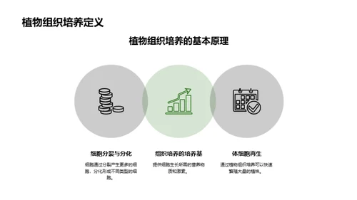 农业生物技术新篇章