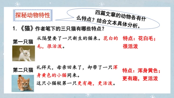 七年级语文上册第五单元  人与动物（大单元教学） 课件(51张PPT)