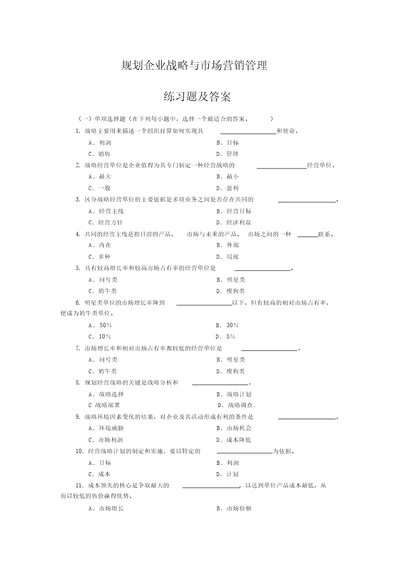 规划企业战略与市场营销管理