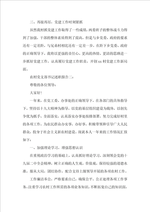 农村党支部书记述职报告精选范文