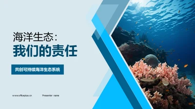 海洋生态：我们的责任