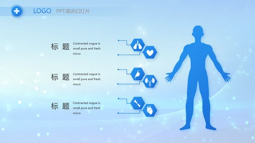 蓝色智慧医疗信息化建设工作总结PPT