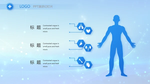 蓝色智慧医疗信息化建设工作总结PPT