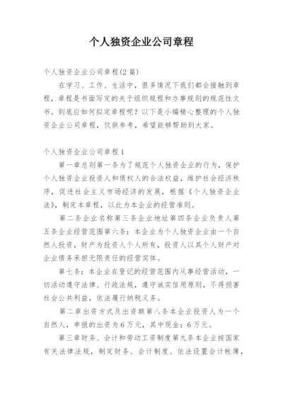 个人独资企业公司章程.docx