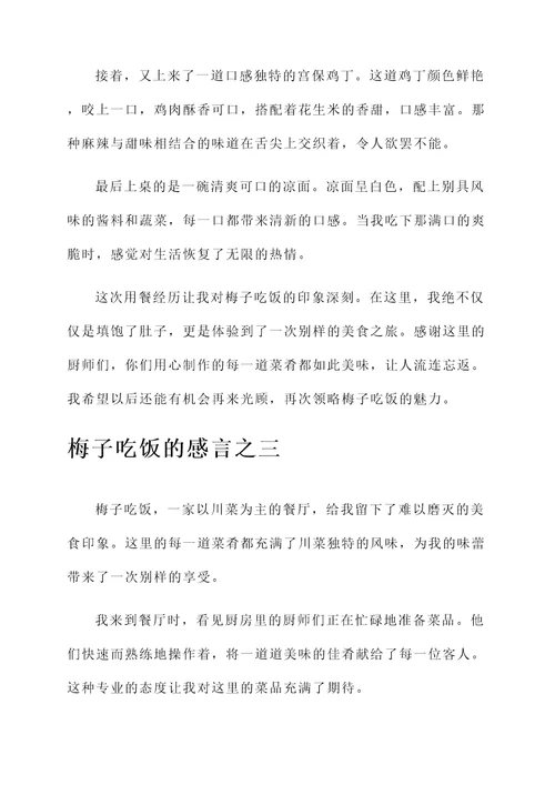 梅子吃饭的感言