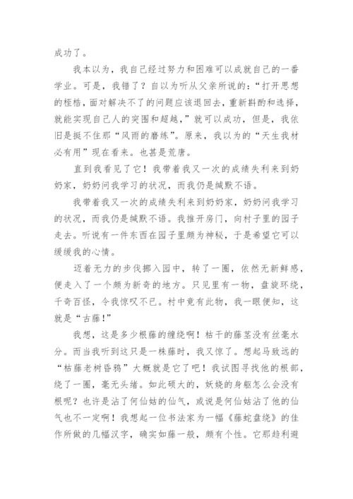 为自己鼓劲中考满分作文.docx