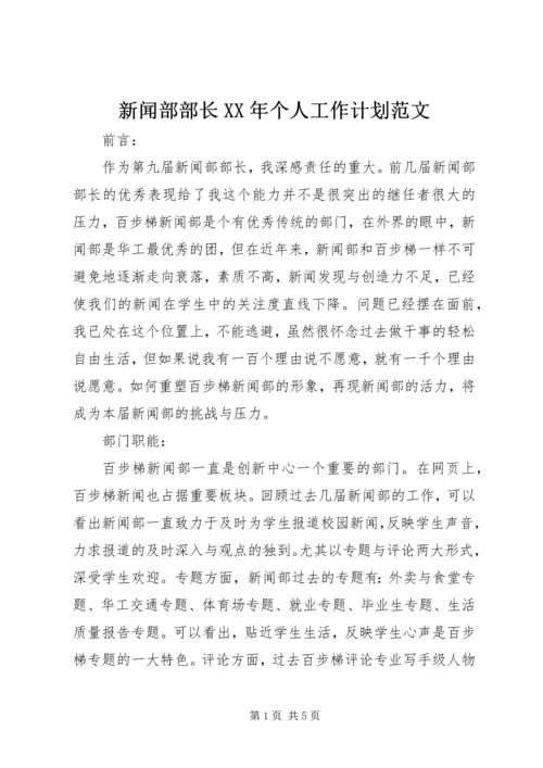 新闻部部长XX年个人工作计划范文.docx