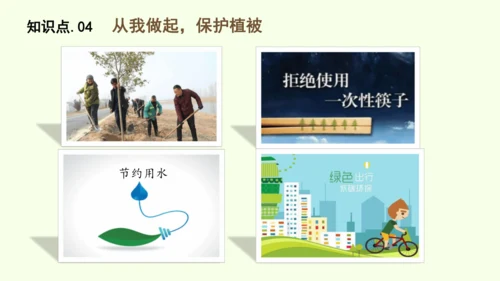 3.2.4植物在自然界中的作用-七年级生物下学期同步精品课件（2024人教版）(共27张PPT)