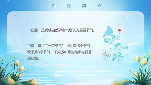 美丽的梦幻传统节气白露PPT模板