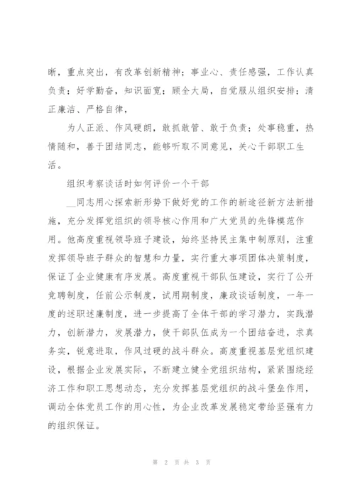 组织考察谈话时如何评价一个干部2022年三篇.docx