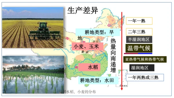 地域差异显著