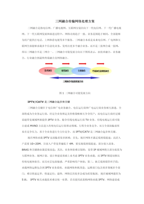 三网融合传输网络解决专业方案.docx