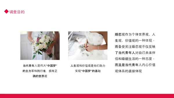 当代青年大学生婚恋意愿调查PPT模板