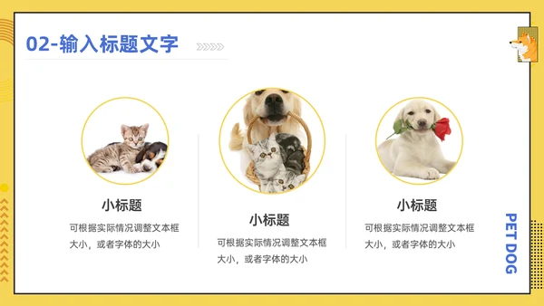 宠物医院宠物项目介绍狗狗秋田犬通用PPT模板