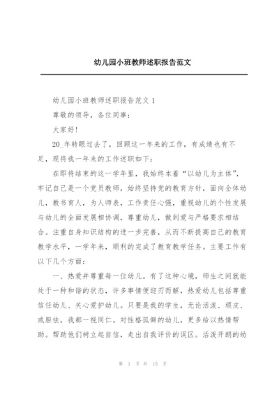 幼儿园小班教师述职报告范文.docx