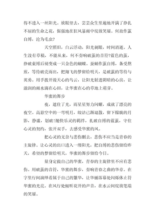 2024年幸福的高三700字作文