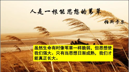 1.2成长的不仅仅是身体 课件(共24张PPT)