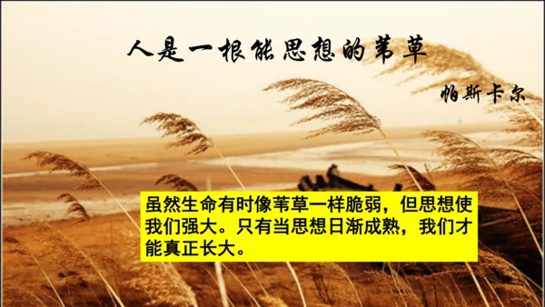 1.2成长的不仅仅是身体 课件(共24张PPT)