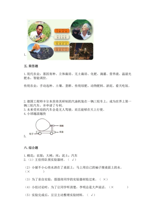 苏教版一年级上册科学 期末测试卷（满分必刷）.docx