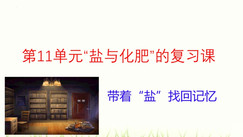 人教版九年级化学下册第十一单元 盐 化肥复习课件(共23张PPT)