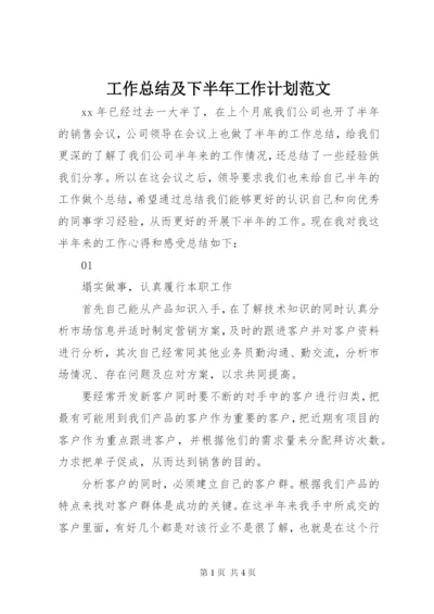 工作总结及下半年工作计划范文.docx