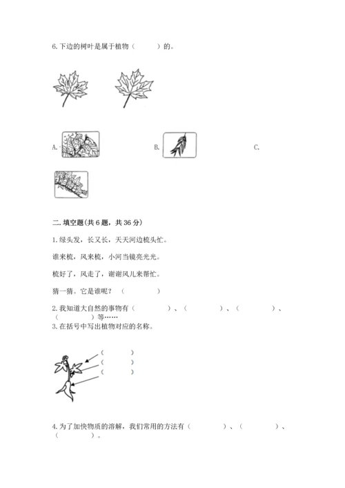 教科版科学一年级上册第一单元《植物》测试卷（突破训练）.docx