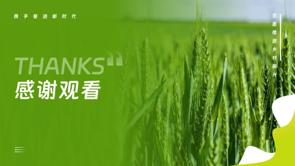 乡村振兴项目工作报告通用PPT模板