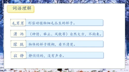 【核心素养】部编版语文四年级下册-11.白桦 第1课时（课件）