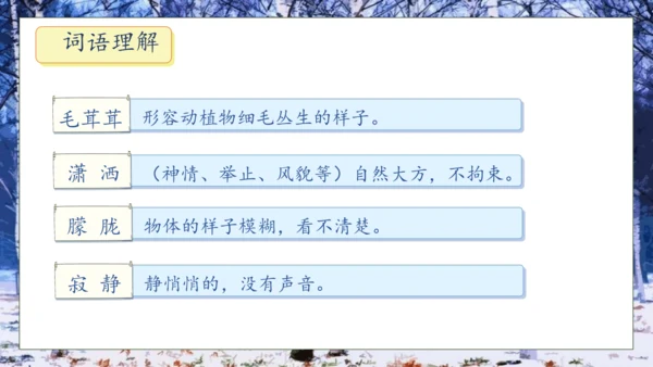 【核心素养】部编版语文四年级下册-11.白桦 第1课时（课件）