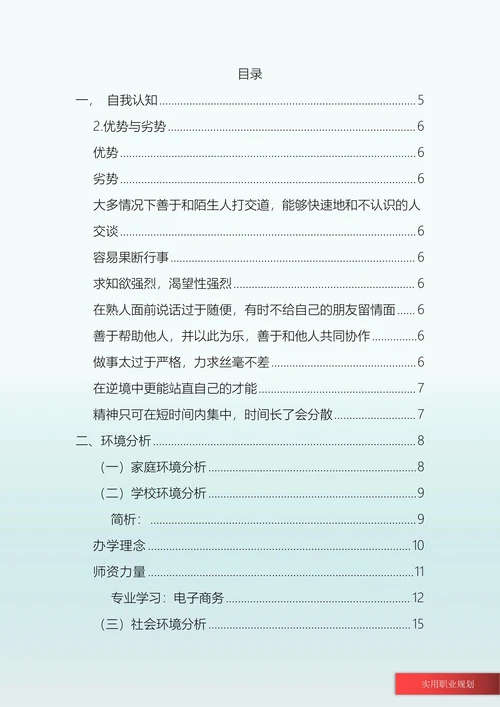 电子商务专业大学生职业规划书
