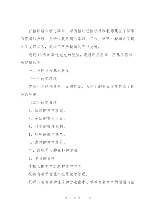 教师挂职锻炼工作总结三篇.docx
