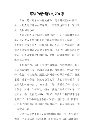 军训的感悟作文700字.docx