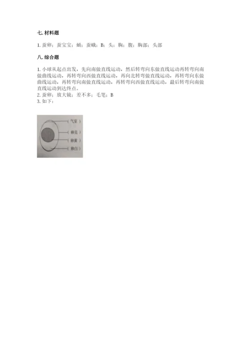 教科版科学三年级下册期末测试卷含完整答案（网校专用）.docx