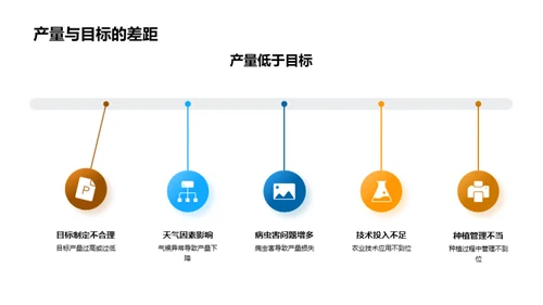 季度农业综合分析