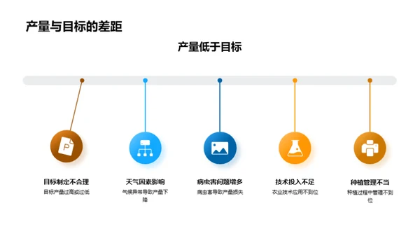 季度农业综合分析