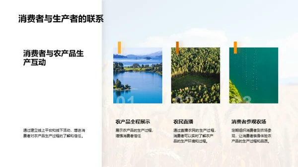 农业市场创新策略