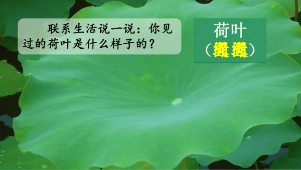4《四季》课件