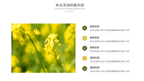 春天乡村旅游油菜花风景油菜花田PPT模板