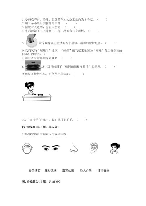 教科版二年级下册科学期末测试卷（考点提分）.docx